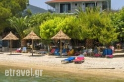 Delfini in Ierapetra, Lasithi, Crete