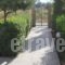 Paul'S Garden Studios_best prices_in_Hotel_Dodekanessos Islands_Rhodes_Rhodes Areas