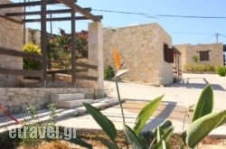 Gavdos Princess in Galatas, Chania, Crete