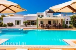 Maltezana Beach Hotel in Naxos Chora, Naxos, Cyclades Islands