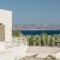 Stagones Luxury Villas_holidays_in_Villa_Cyclades Islands_Paros_Paros Chora
