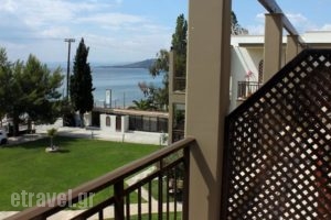 Hotel Areti_lowest prices_in_Hotel_Macedonia_Halkidiki_Neos Marmaras