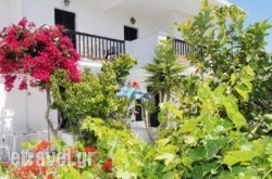 Alex in Thessaloniki City, Thessaloniki, Macedonia