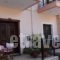 Valentini Guesthouse_best prices_in_Hotel_Central Greece_Evritania_Karpenisi