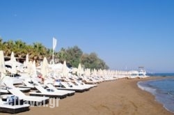 Marita Apartments in Ithaki Rest Areas, Ithaki, Ionian Islands