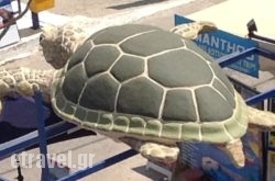 George Apartments in Paros Rest Areas, Paros, Cyclades Islands