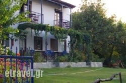 Mirsini Apartments in Platanias, Chania, Crete