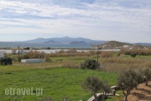 Dina's Diamond_travel_packages_in_Cyclades Islands_Naxos_Naxos Chora