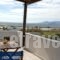 Dina's Diamond_holidays_in_Hotel_Cyclades Islands_Naxos_Naxos Chora