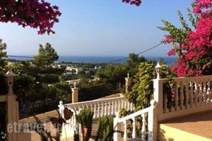Stella View Studios_best prices_in_Hotel_Dodekanessos Islands_Rhodes_Pefki