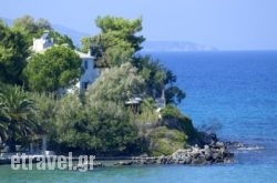 Paradisso Beach Villas in Matsoukata, Kefalonia, Ionian Islands