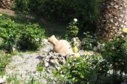 Alkion in Ierapetra, Lasithi, Crete