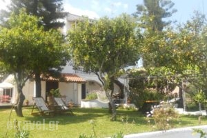 Gina Studios_holidays_in_Hotel_Ionian Islands_Corfu_Corfu Rest Areas