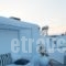 Orpheas Rooms_best deals_Room_Cyclades Islands_Mykonos_Mykonos ora