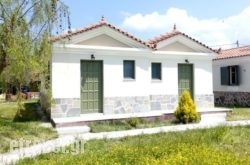 Jalouse Apartments in Corfu Rest Areas, Corfu, Ionian Islands