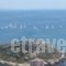 Cavo D' Oro_best deals_Hotel_Central Greece_Attica_Piraeus