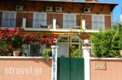 Konstantinos Apartments in Agistri Rest Areas, Agistri, Piraeus Islands - Trizonia