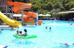 Magdas Kamares in Poros Chora, Poros, Piraeus Islands - Trizonia