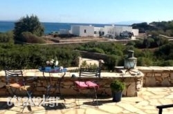 Franky in Skopelos Chora, Skopelos, Sporades Islands