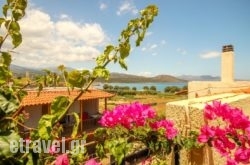 Villa Minoas Apartments in Paros Chora, Paros, Cyclades Islands