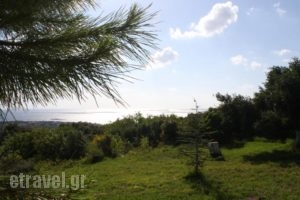 Drosia Rooms_best deals_Room_Ionian Islands_Kefalonia_Kefalonia'st Areas