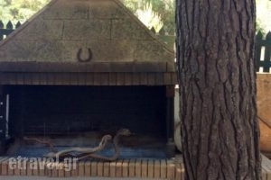 Hotel Vasiliki Beach_lowest prices_in_Hotel_Ionian Islands_Zakinthos_Zakinthos Chora