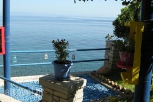 Alkioni Studios_holidays_in_Hotel_Aegean Islands_Samos_Karlovasi