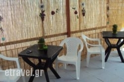 Nik The Greek in Pythagorio, Samos, Aegean Islands