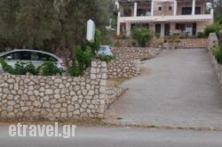 To Ampelaki in Athens, Attica, Central Greece