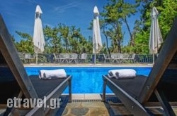 Leandros Hotel in Kremasti, Rhodes, Dodekanessos Islands