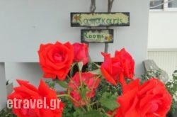 Kamakaris Rooms in Paros Chora, Paros, Cyclades Islands