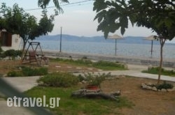 Ktima Develekou in Kalamaki, Zakinthos, Ionian Islands