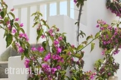 Korali Hotel And Apartments in Haniotis - Chaniotis , Halkidiki, Macedonia