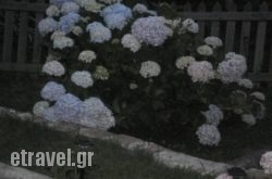 Soula Rooms in Glossa, Skopelos, Sporades Islands