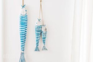 Paradise Design Apartments_best prices_in_Apartment_Cyclades Islands_Andros_Andros City