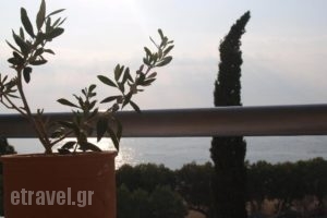 Hotel Kanellakis_best prices_in_Hotel_Thessaly_Magnesia_Pilio Area