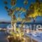 Ionian Hill Hotel_best deals_Hotel_Ionian Islands_Zakinthos_Zakinthos Rest Areas