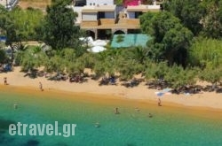 Alexandros-Vassilia in Rhodes Chora, Rhodes, Dodekanessos Islands