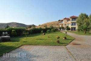 Fereniki Studios_best prices_in_Hotel_Aegean Islands_Limnos_Platy
