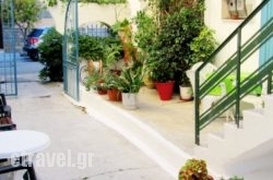 Katerina in Paros Chora, Paros, Cyclades Islands