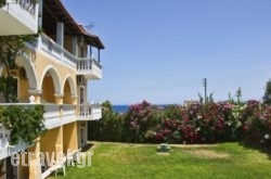 Studios Petra in Karpathos Chora, Karpathos, Dodekanessos Islands