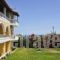 Studios Petra_accommodation_in_Hotel_Ionian Islands_Zakinthos_Zakinthos Rest Areas