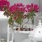 Nicolas Studios_holidays_in_Hotel_Cyclades Islands_Antiparos_Antiparos Chora