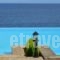 Villa Calma_best prices_in_Villa_Ionian Islands_Zakinthos_Zakinthos Rest Areas