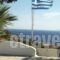 Aegean Dream Apartments_holidays_in_Apartment_Cyclades Islands_Syros_Syros Chora