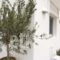 Mykonos Unique Apartment_lowest prices_in_Apartment_Cyclades Islands_Mykonos_Mykonos ora