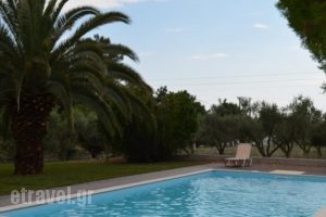 Kalisun House_lowest prices_in_Hotel_Macedonia_Halkidiki_Nea Kallikrateia