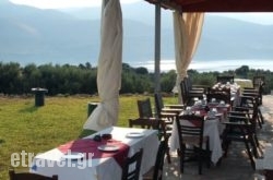 Villa Forestata in Corfu Rest Areas, Corfu, Ionian Islands