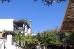 Patriko in Nikiti, Halkidiki, Macedonia